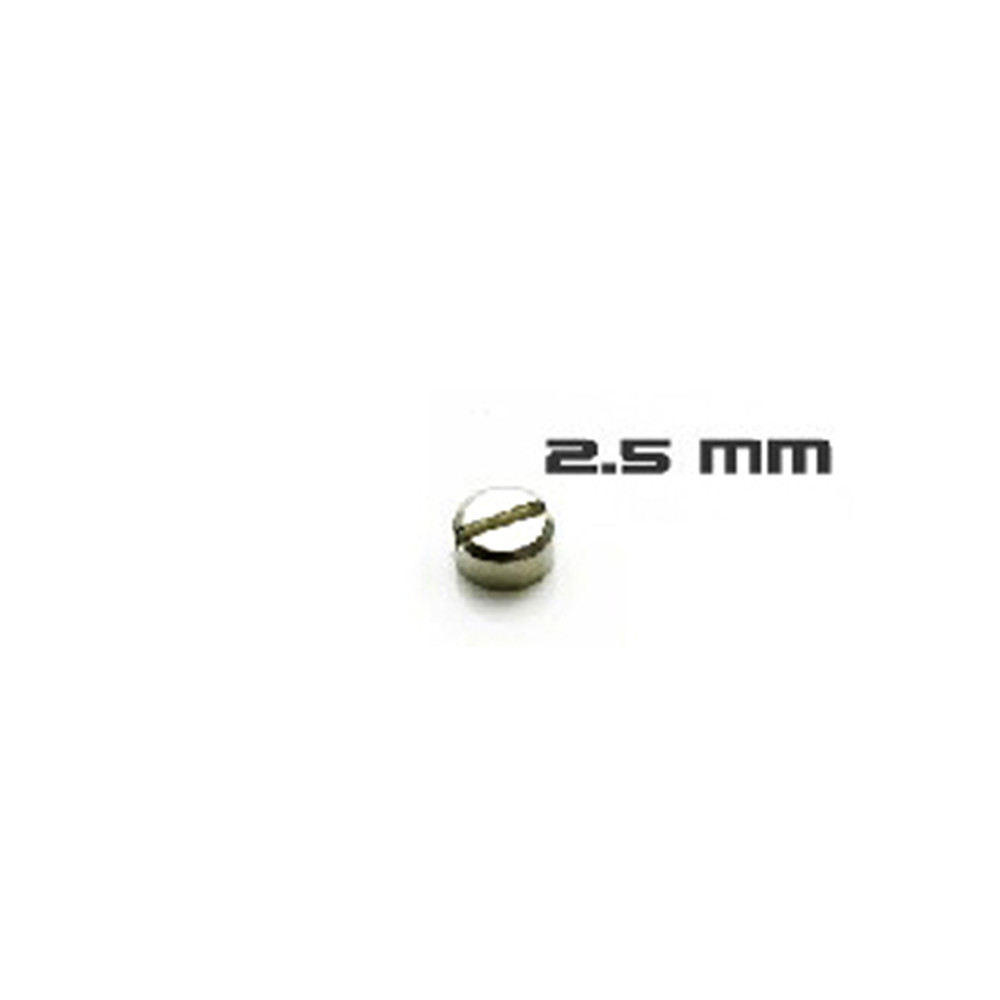 30pcs Armored Screws Model Sup - Model Kit Gundam Mg recension och pris